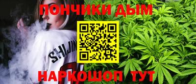 гидропоника Пугачёв