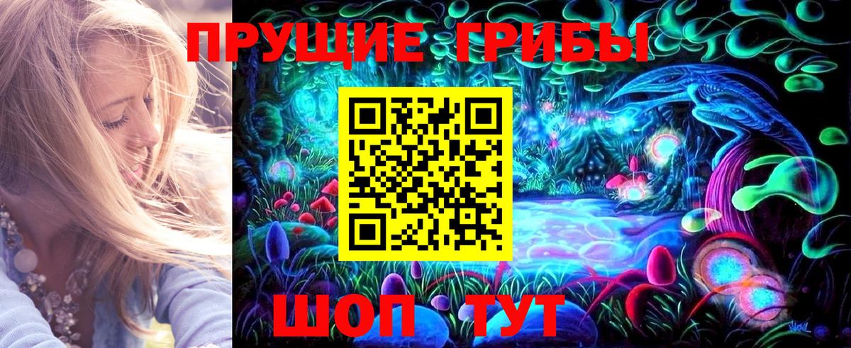 Псилоцибиновые грибы прущие грибы Трёхгорный